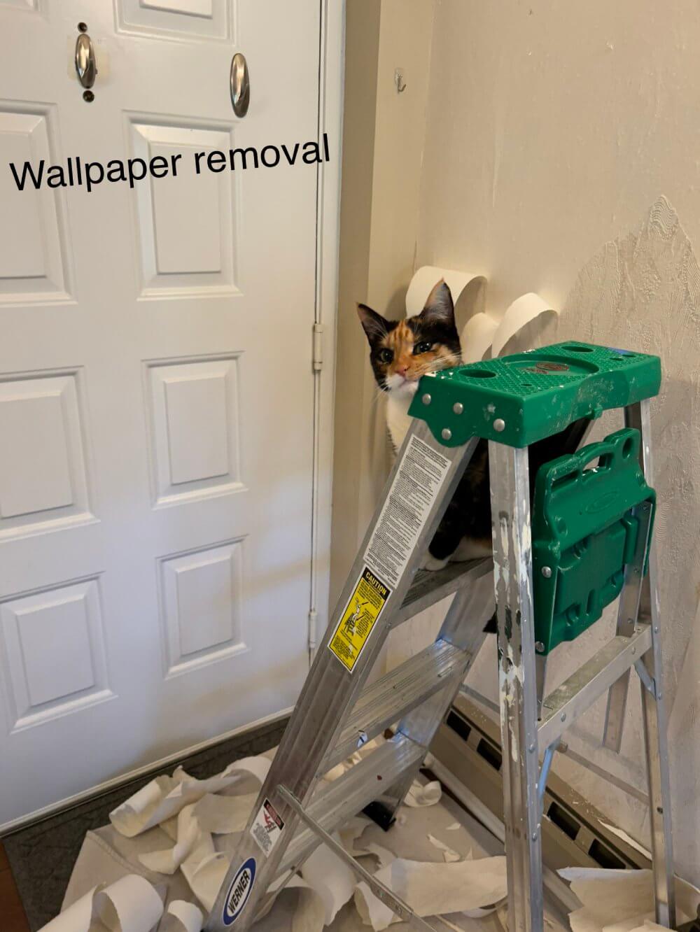 Wallpaper Installation
